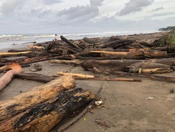 Pengelola Pantai Seminyak I Komang Ruditha Hartawan mengungkapkan sampah-sampah berdatangan diperkirakan sekitar pukul 20.00 Wita. Ruditha menjelaskan, kemunculan sampah tidak dipengaruhi oleh gelombang tinggi. Namun arus laut yang didorong angin kencang.
