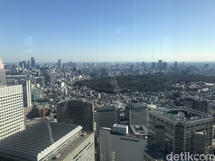 Penampakan Tokyo, Jepang (Rolando Fransiscus Sihombing/detikcom).