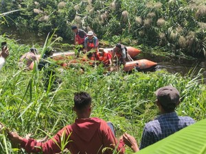 Hilang Diterkam Buaya, Peternak Sapi di Rohil Ditemukan Tewas
