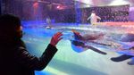 Restoran di China Ini Tawarkan Pengalaman Unik, Makan Ditemani Penguin