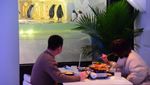 Restoran di China Ini Tawarkan Pengalaman Unik, Makan Ditemani Penguin