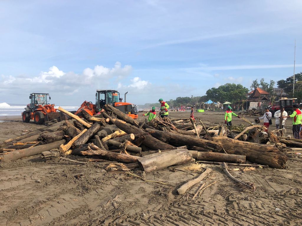 Petugas DLHK Badung dibantu Tim Seminyak Clean dan pedagang membersihkan Pantai Seminyak yang penuh sampah kayu gelondongan, Kamis (16/2/2023).