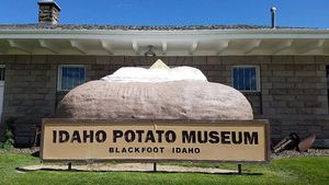 Seru! Di Museum Kentang Bisa Nongkrong Sambil Jajan Aneka Olahan Kentang
