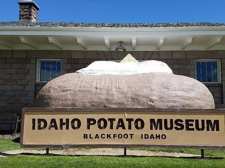 Seru! Di Museum Kentang Bisa Nongkrong Sambil Jajan Aneka Olahan Kentang