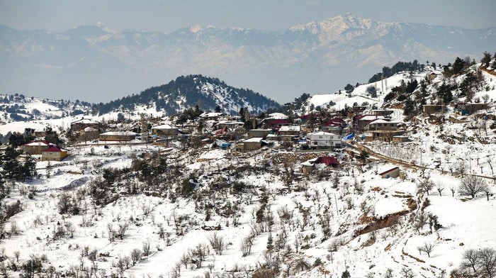 A dead cow lies on the snow near a collapsed house in Buyuknacar village in Kahramanmaras, Turkey, Wednesday, Feb. 15, 2023. More than 35,000 people have died in Turkey as a result of last week's earthquake, making it the deadliest such disaster since the country's founding 100 years ago. While the death toll is almost certain to rise even further, many of the tens of thousands of survivors left homeless were still struggling to meet basic needs, like finding shelter from the bitter cold. (AP Photo/Emrah Gurel)