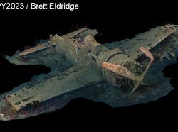 Karya Jawara Foto Underwater Bikin Takjub, Ada dari Indonesia!