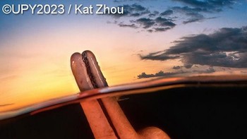 Pemenang Underwater Photographer of the Year 2023 diraih Kat Zhou dari AS. Ada legenda di antara penduduk lokal di Amazon bahwa lumba-lumba sungai, atau “botos”, dapat berubah menjadi pria tampan yang disebut “boto encantado” di malam hari untuk merayu wanita. Meskipun saya tidak menyaksikan transformasi boto yang sulit dipahami ini, saat senja saya terpesona oleh mamalia cantik ini dengan cara yang berbeda. Setelah melihat bagaimana botos terkadang membawa paruhnya ke atas air, saya tahu saya ingin bidikan terpisah saat matahari terbenam. Meskipun airnya sangat gelap sehingga saya buta, lumba-lumba ini memberi saya pose dan senyuman yang sempurna! 