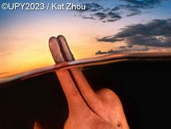 Karya Jawara Foto Underwater Bikin Takjub, Ada dari Indonesia!