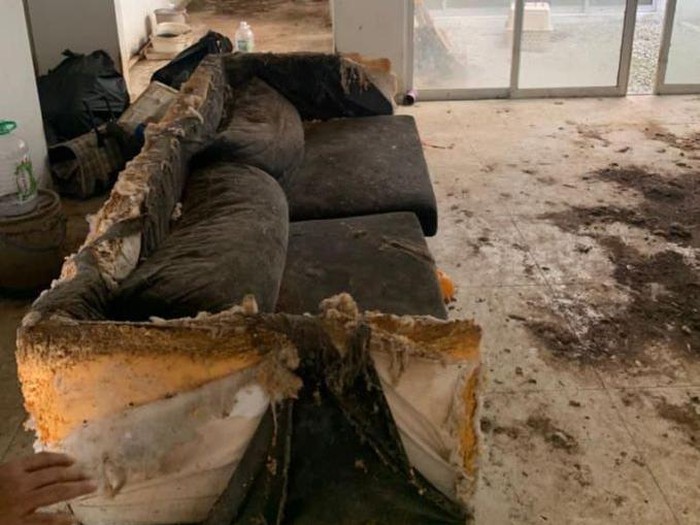 Viral kondisi rumah pecinta hewan yang sudah ditinggalkan oleh pemiliknya Viral kondisi rumah pecinta hewan yang sudah ditinggalkan oleh pemiliknya, begitu dibuka ada bangkai kucing bikin warganet emosi.