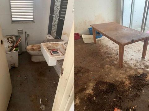 Viral kondisi rumah pecinta hewan yang sudah ditinggalkan oleh pemiliknya, begitu dibuka ada bangkai kucing bikin warganet emosi.