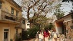 Cheung Chau, Pulau Indah di Hongkong Tanpa Ada Mobil