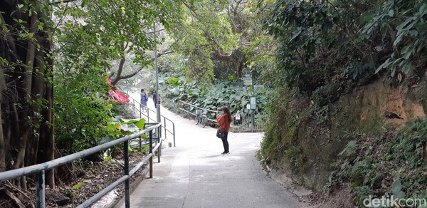 Pulau Cheng Chau dijuluki Pulau Panjang karena berbentuk seperti dumbel. Destinasi paling populer adalah hiking di Little Great Wall. (Bonauli/detikcom)