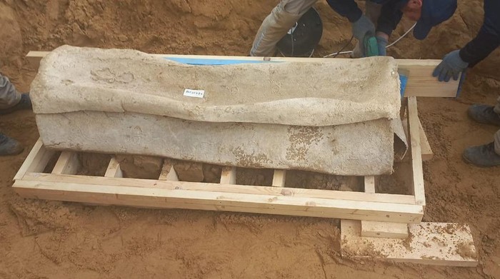 A team of archeological experts and workers, preserve a newly-discovered Roman coffin in a wooden box at the site of a 2000-year-old Roman cemetery in northern Gaza Strip February 14, 2023. Government Media Office/Handout via REUTERS??ATTENTION EDITORS - THIS IMAGE WAS PROVIDED BY A THIRD PARTY. NO RESALES. NO ARCHIVES.