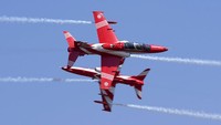 Aero India adalah acara dua tahunan dengan demonstrasi terbang oleh tim pemeran pengganti dan militer.