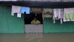 Terus Diguyur Hujan, Banjir Rendam Rumah Warga di Makassar