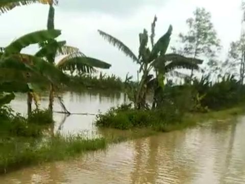 Bengawan Solo mulai meluap menggenangi sejumlah permukiman, sawah, dan jalan desa di Bojonegoro