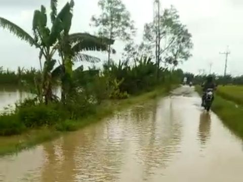 Bengawan Solo mulai meluap menggenangi sejumlah permukiman, sawah, dan jalan desa di Bojonegoro