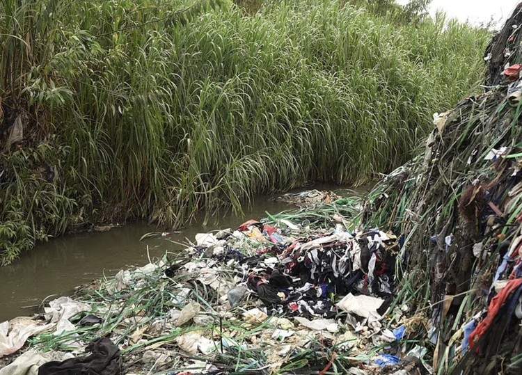 Clean Up Kenya