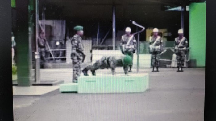 Dandim 0502 Jakarta Utara, Kolonel Frega Wenas, melakukan push up di depan prajurit usai memimpin apel pagi. (repro/dok ist)