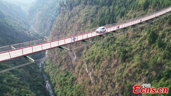 Jembatan ini tampak seolah melayang di ketinggian 300 meter, membentang di antara jurang di Distrik Wulong, Kota Chongqing. Foto: ECNS.cn