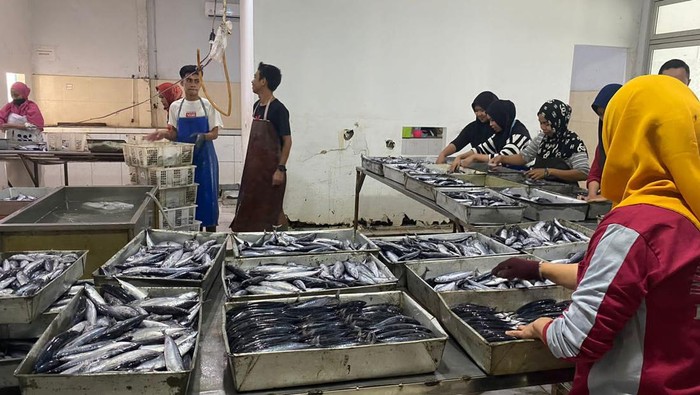 Pemprov Sultra mengekspor 41 ton ikan tongkol dan gurita ke Yunani.