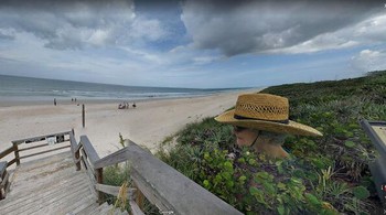 Spesies baru.  Foto: Reddit via Boredpanda  