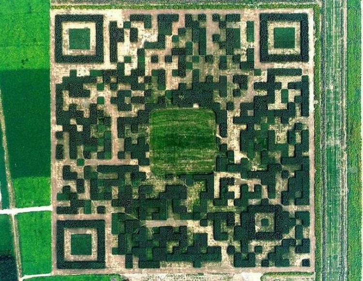 Penampakan aneh di Google Maps