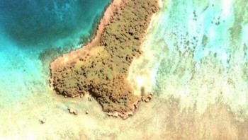 Pulau bentuk penis Foto: Reddit via Boredpanda