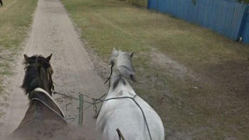 Di Letea, Tulcea, Rumania, kamera Google Maps dibawa menggunakan kereta kuda. Foto: Reddit via Boredpanda