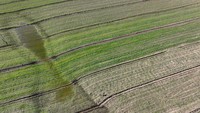 Pandangan udara dari ladang barley di distrik Islahiye di Gaziantep, Turkiye pada 16 Februari 2023.