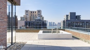 Pemandangan dari atap penthouse ke jantung kota New York. Foto: Daily Mail