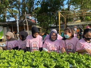 Srikandi Ganjar Gelar Pelatihan Budidaya Hidroponik di Pontianak