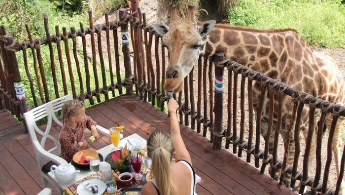 Taman Safari Indonesia
