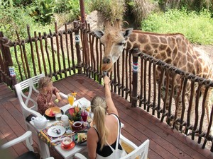 Ada ITF di Kokas, Taman Safari Bagi 100 Tiket Rp 190 Ribu