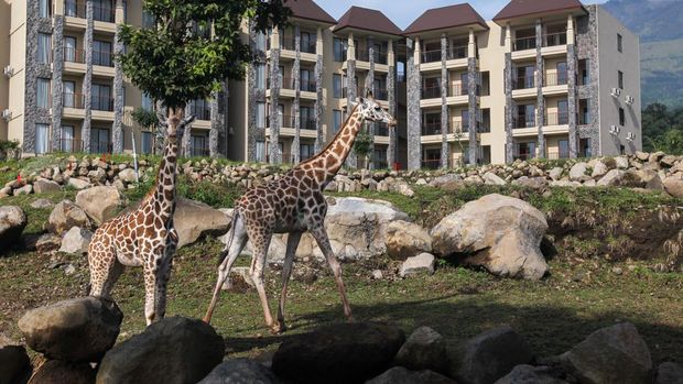 Taman Safari Indonesia
