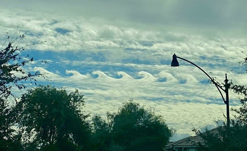 Lagi menuang cat, tanpa sengaja terciptalah gambar mirip pepohonan. Foto: Wikeni via Bored Panda