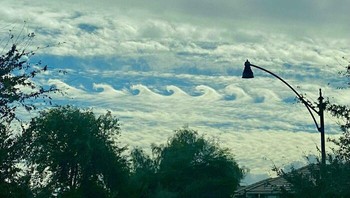 Awannya seperti gambar anak-anak. Foto: SpencerLass via Bored Panda