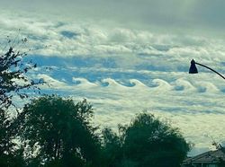 10 Karya Seni yang Tercipta Tidak Sengaja, Cantik Banget!