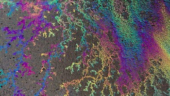 Pola cantik dari minyak yang terkena hujan. Foto: LadyKingsella via Bored Panda