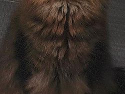 10 Karya Seni yang Tercipta Tidak Sengaja, Cantik Banget!