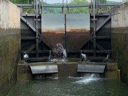 10 Karya Seni yang Tercipta Tidak Sengaja, Cantik Banget!