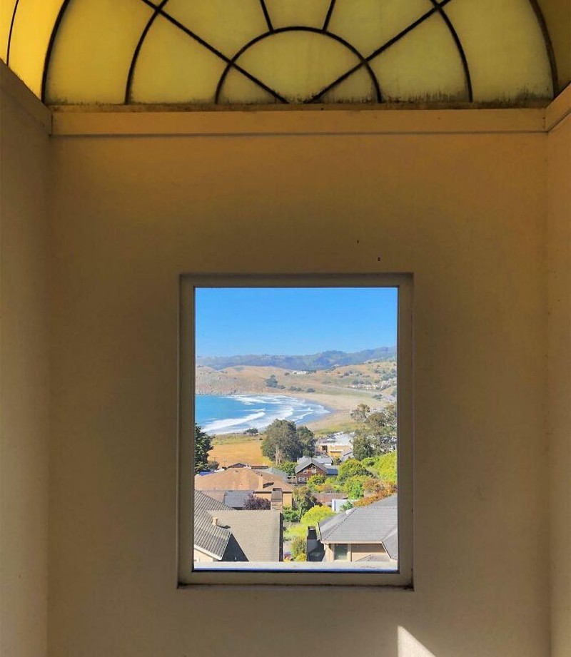 Lagi menuang cat, tanpa sengaja terciptalah gambar mirip pepohonan. Foto: Wikeni via Bored Panda