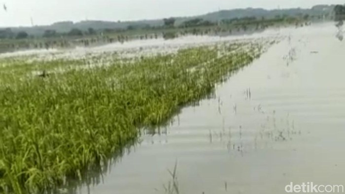 banjir di bojonegoro