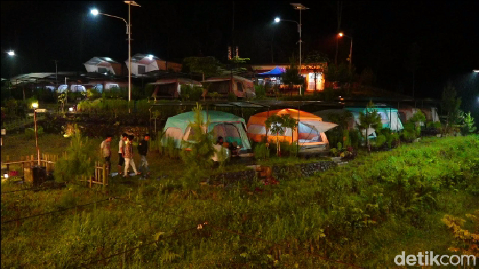 Wisata di kaki Gunung Semeru di Glamping Glagah Arum Lumajang