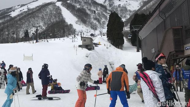 Hakuba di Jepang