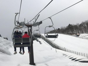 Tiada Hari Tanpa Wisata di Hakuba, Main Ski sampai Naik Balon Udara