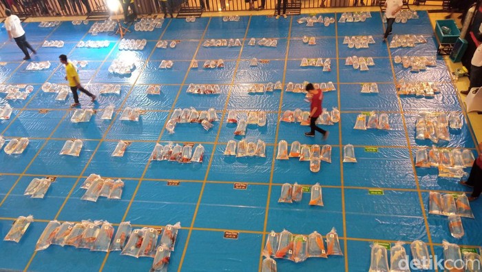 Kontes ikan koi di Cirebon.