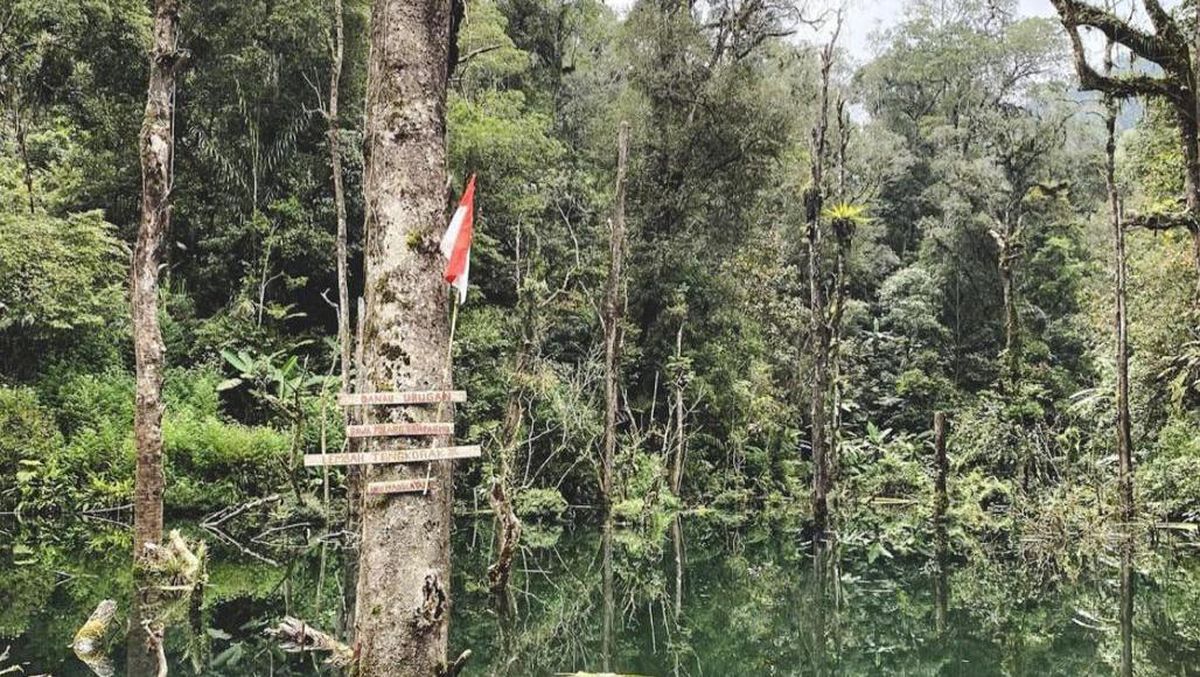 Jalan Panjang Menuju Lembah Tengkorak yang Tersembunyi di Hutan