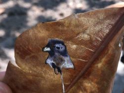 10 Karya Seni yang Tercipta Tidak Sengaja, Cantik Banget!