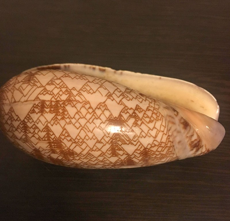 Seni yang tak sengaja